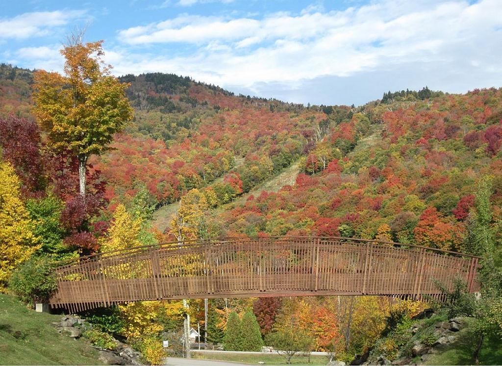 Ski In/Out Trailside Townhome Killington Bagian luar foto